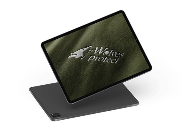 Mockup Tablette Wolves bis design graphique